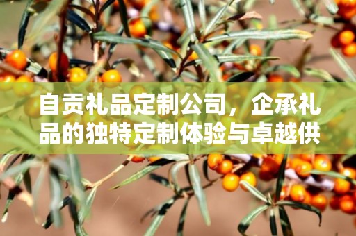 自贡礼品定制公司，企承礼品的独特定制体验与卓越供应链优势